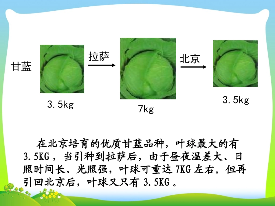 基因突变与基因重组_第3页