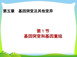 基因突变与基因重组