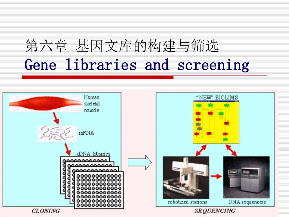 基因文库的构建与筛选_第1页