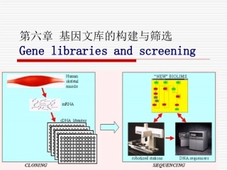 基因文库的构建与筛选