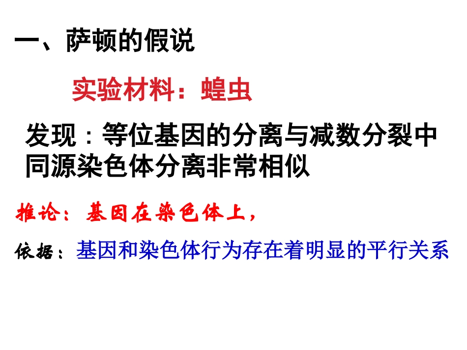 基因在染色体上课件_第3页