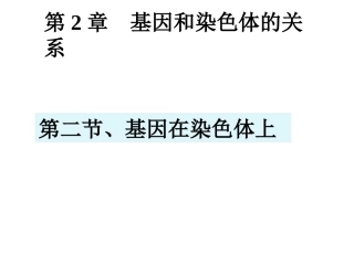 基因在染色体上课件