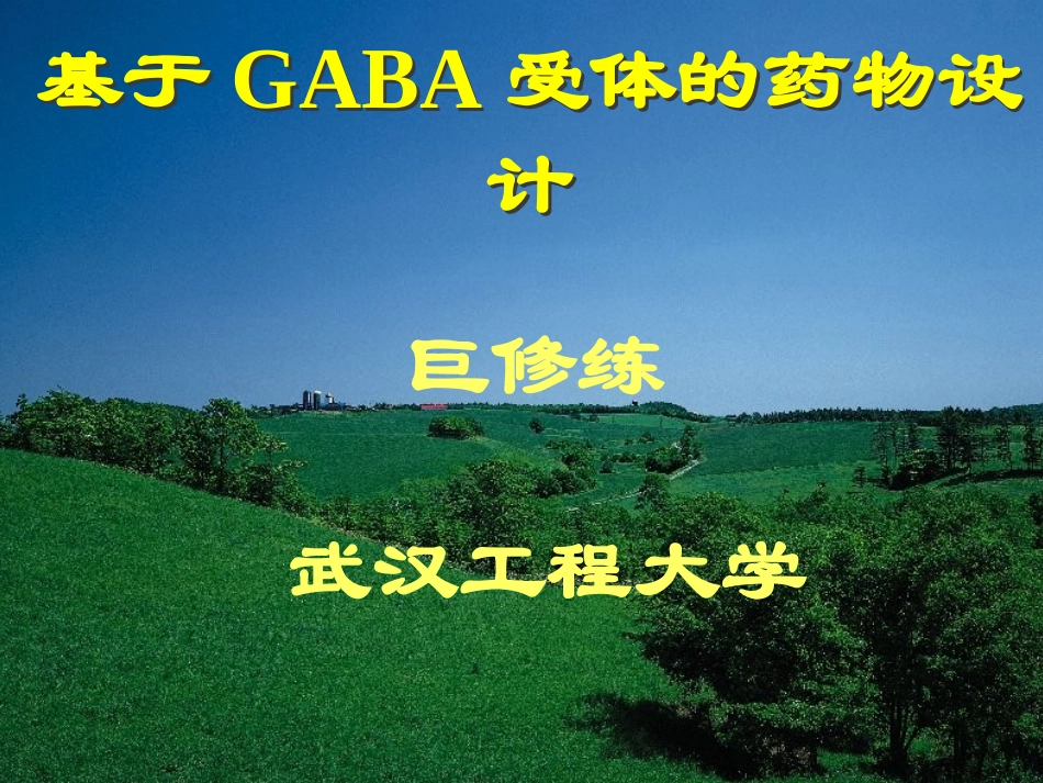 基于GABA受体的药物设计概要_第1页