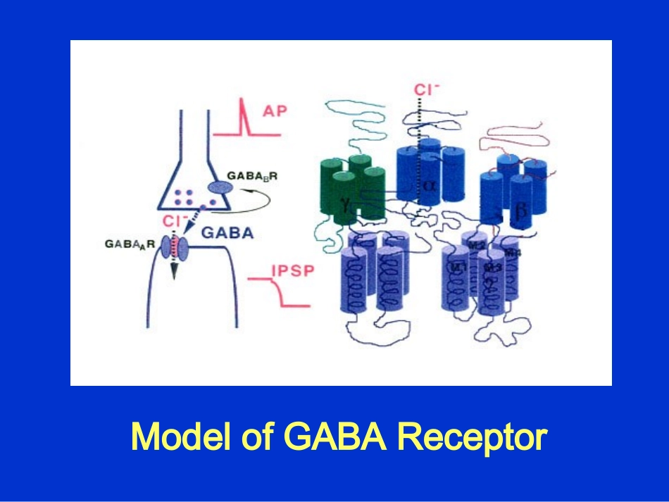 基于GABA受体的药物设计概要_第3页