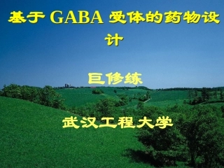 基于GABA受体的药物设计概要