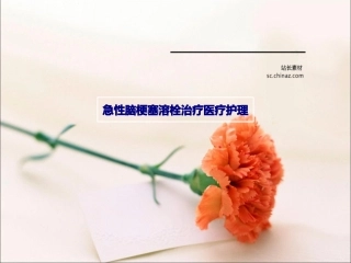 急性脑梗塞溶栓治疗医疗护理优质课件