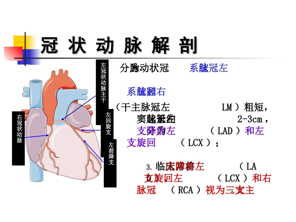 急性心肌梗死教学小讲座_第3页
