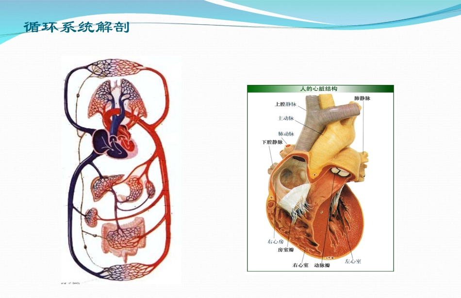急性左心衰竭_第2页