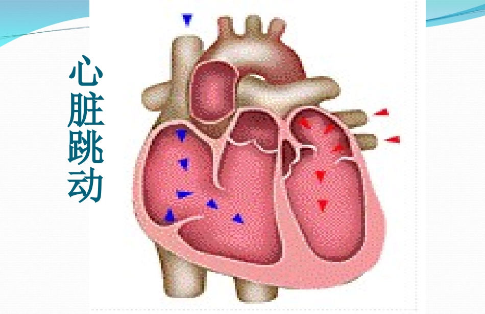 急性左心衰竭_第3页