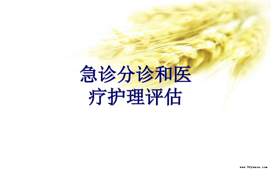 急诊分诊和医疗护理评估优质课件_第1页
