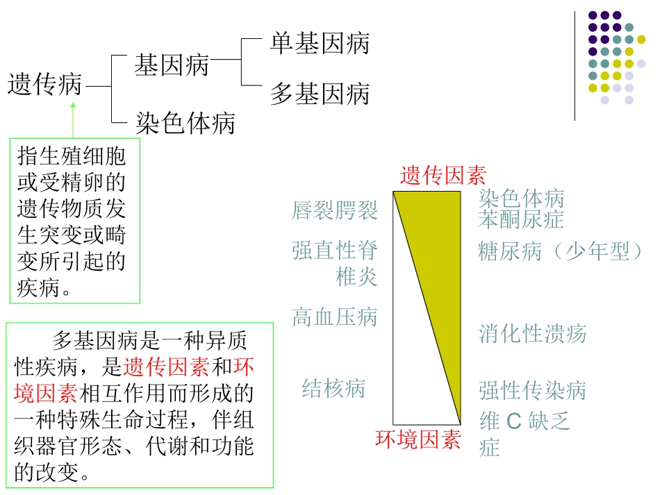 疾病的分子生物学_第2页