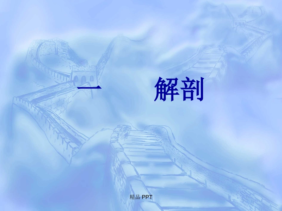 脊髓疾病的诊断和查体_第2页