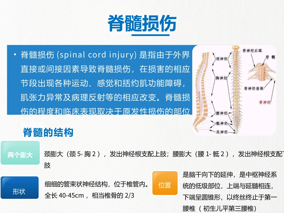 脊髓损伤护理常规_第3页