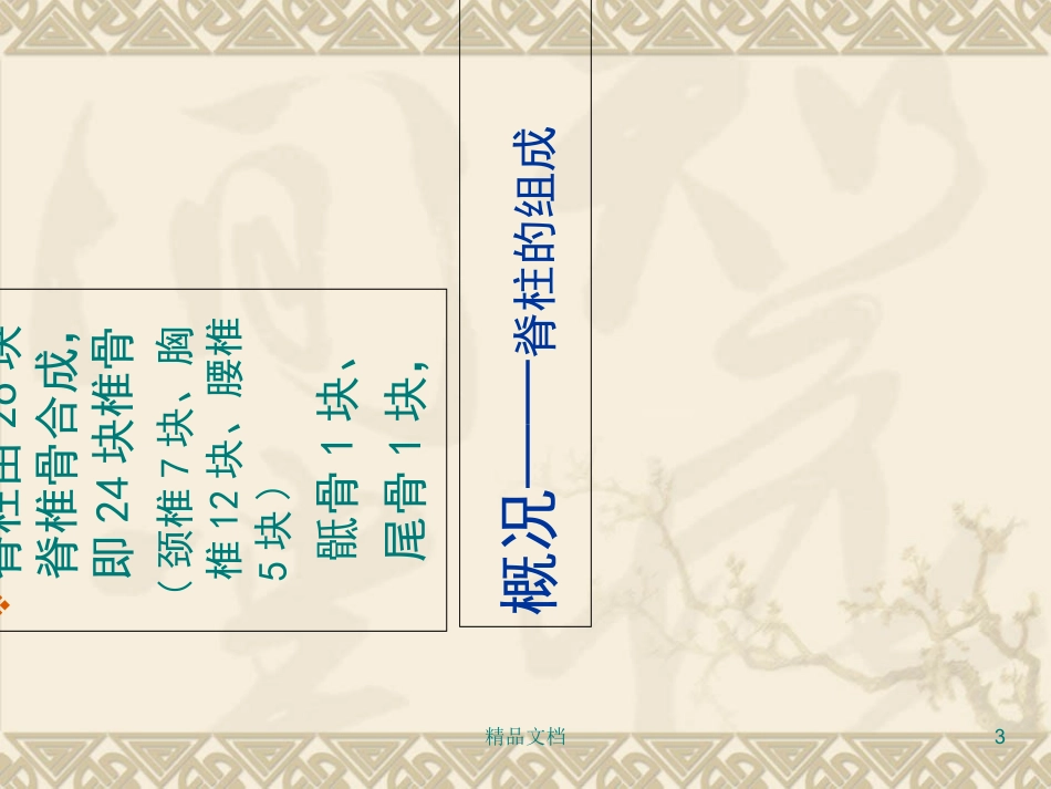 脊柱的自我养护_第3页