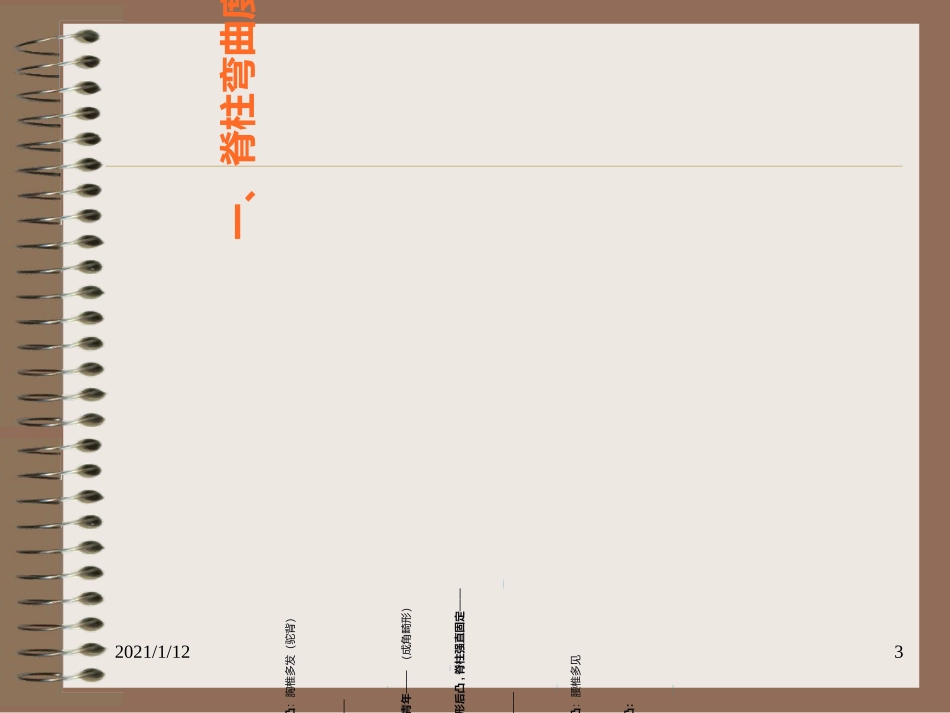 脊柱及四肢体格检查详解_第3页