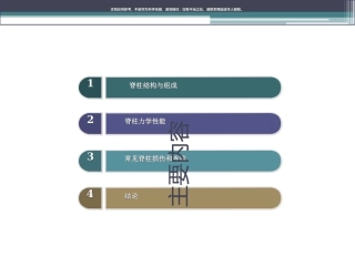脊柱生物力学和脊柱基本结构课件