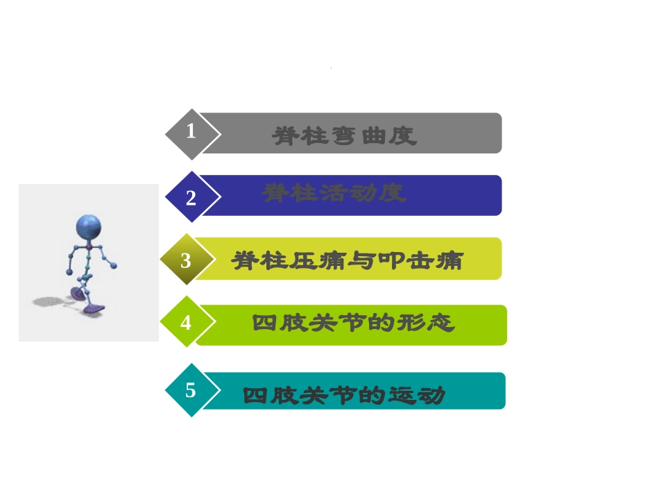 脊柱与四肢检查本科教学_第3页