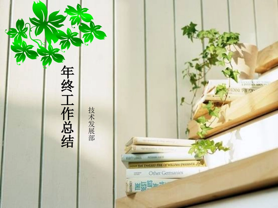 技术发展部年终工作总结_第1页