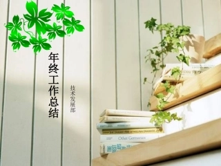 技术发展部年终工作总结