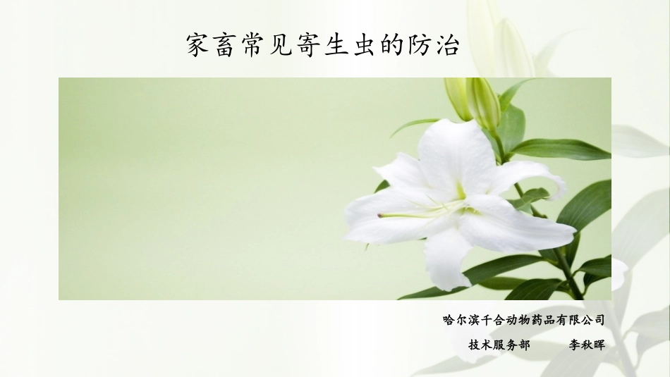 家畜常见的寄生虫_第1页