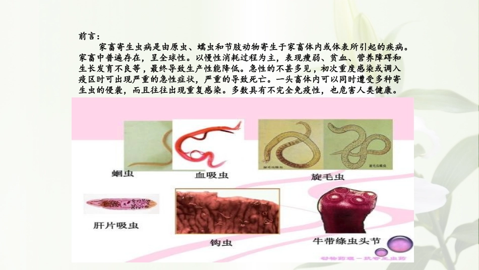 家畜常见的寄生虫_第2页