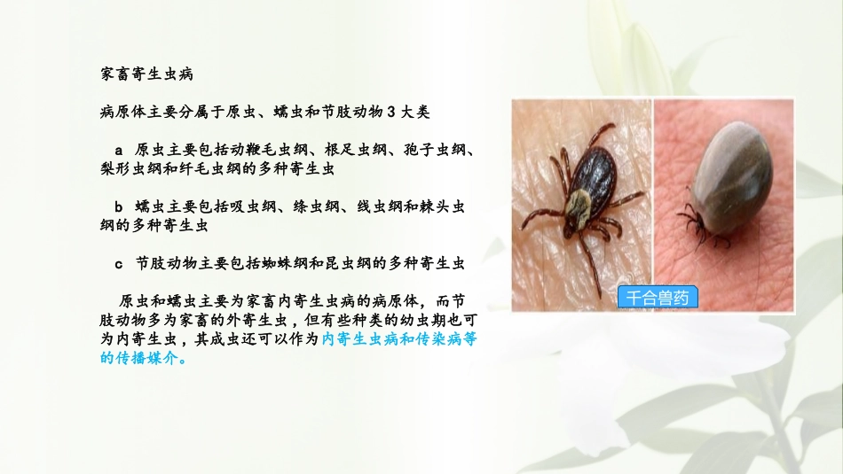 家畜常见的寄生虫_第3页