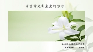 家畜常见的寄生虫