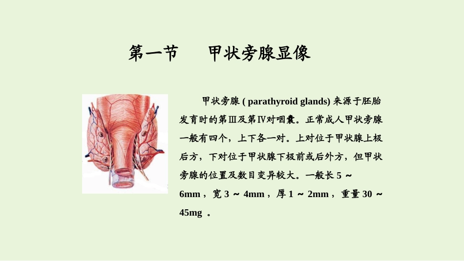 甲状旁腺及肾上腺显像_第3页