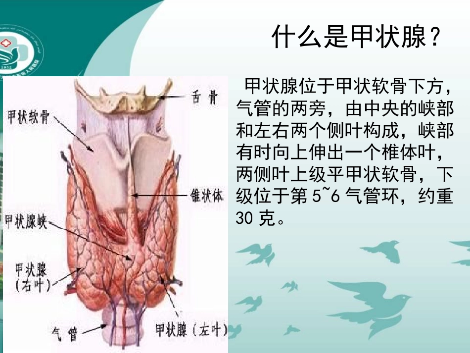 甲状腺包块的护理_第2页