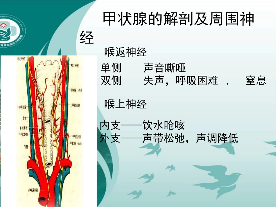 甲状腺包块的护理_第3页