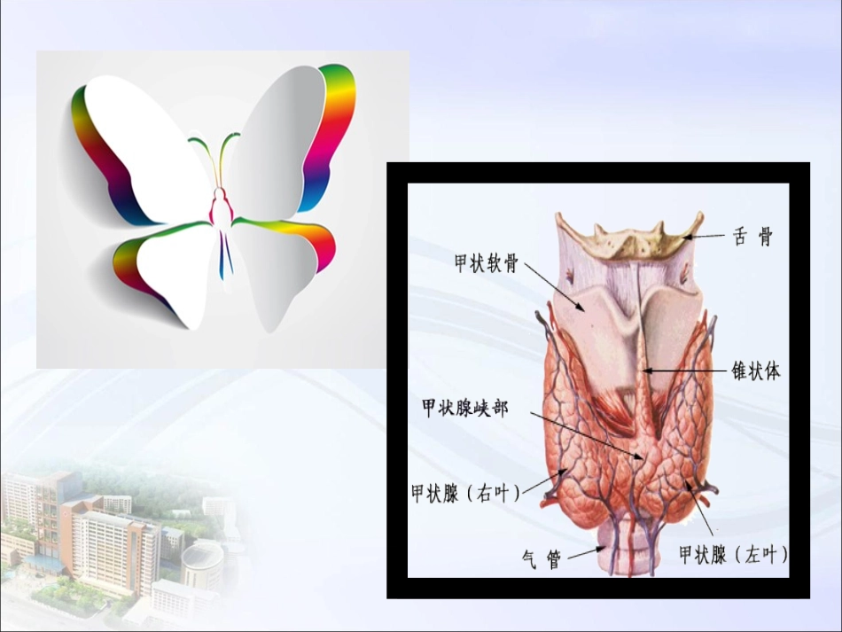 甲状腺功能检查解读_第2页