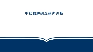 甲状腺解剖及正常超声切面