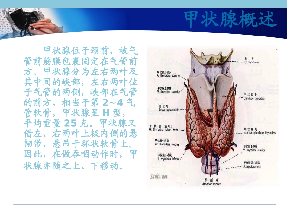 甲状腺手术配合技能_第2页
