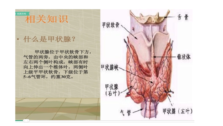 甲状腺肿瘤教学查房_第3页