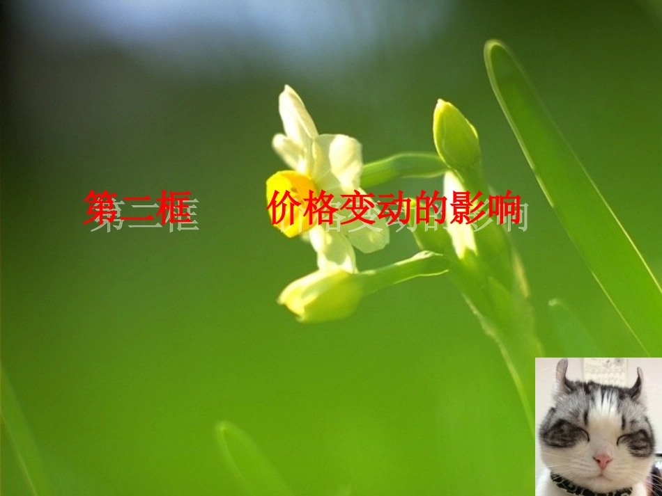 价格变动的影响_第1页