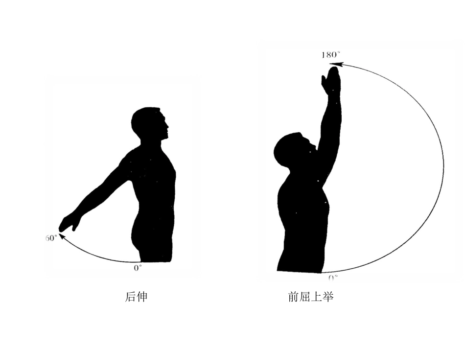 肩袖损伤教学查房_第3页