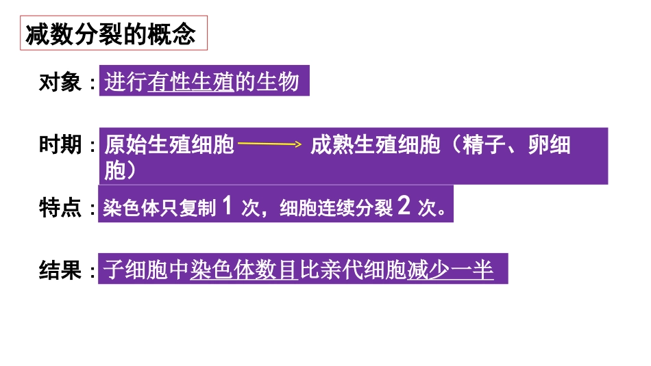 减数分裂的过程_第2页