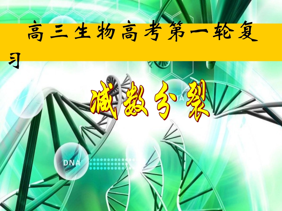 减数分裂专题_第1页