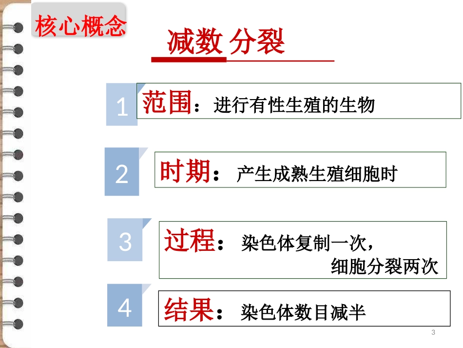 减数分裂专题_第3页