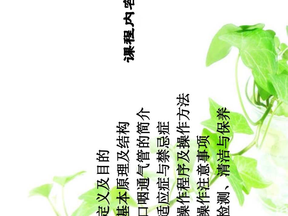 简易呼吸气囊_第2页