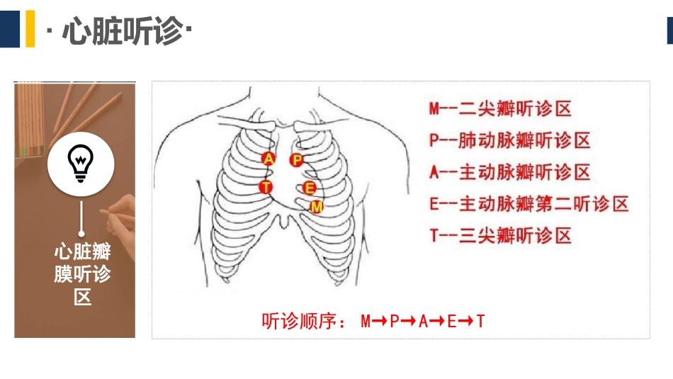 健康评估心脏听诊_第3页