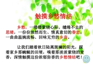 讲课乡愁主题活动