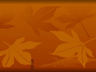 教学查房.青光眼