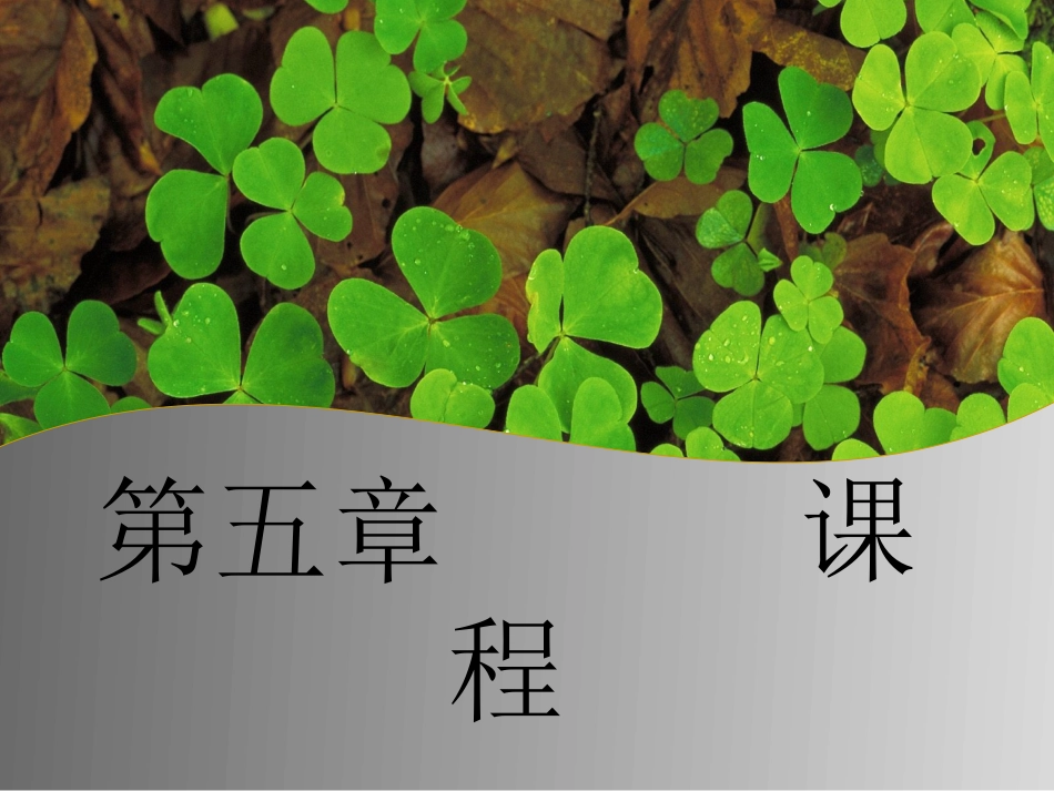 教育学课件课程_第1页