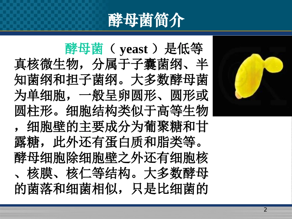 酵母菌杂交育种_第2页