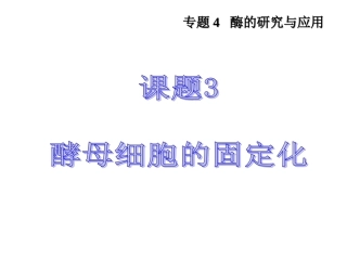酵母细胞的固定化