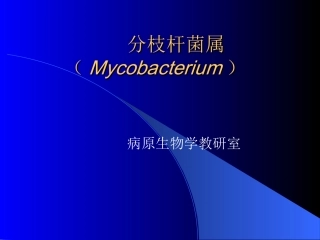 结核菌素试验