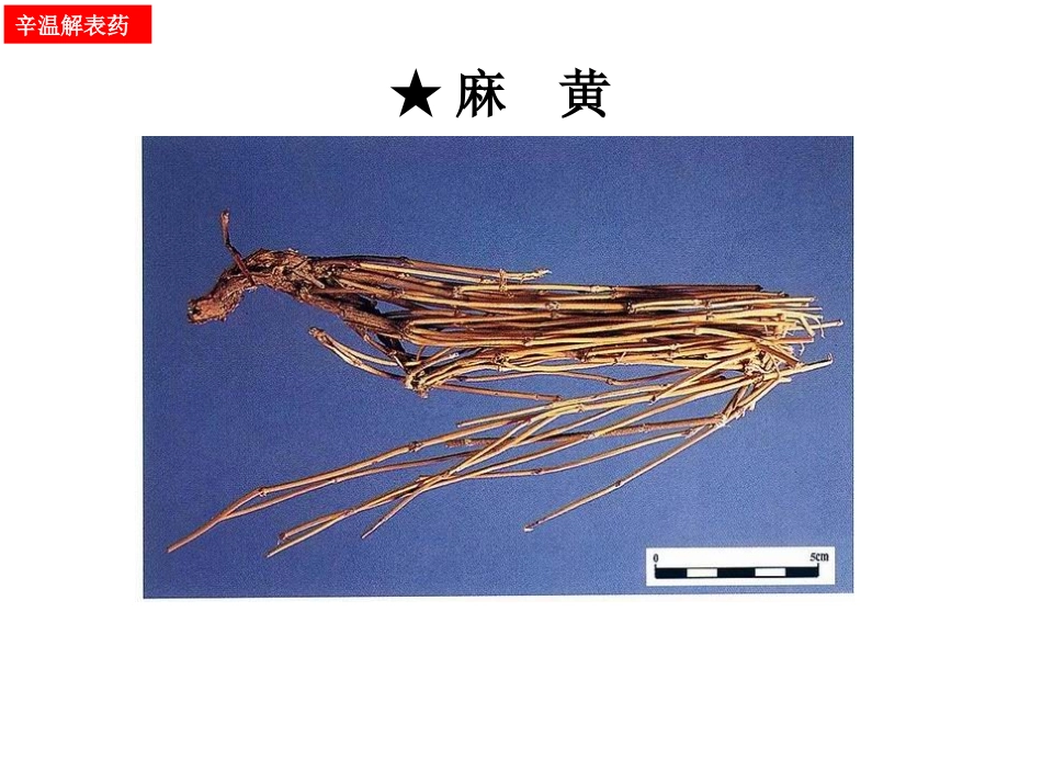 解表药辛凉解表药辛温解表药_第3页