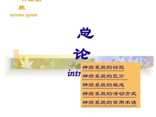 解剖神经总论