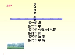 解剖学呼吸系统
